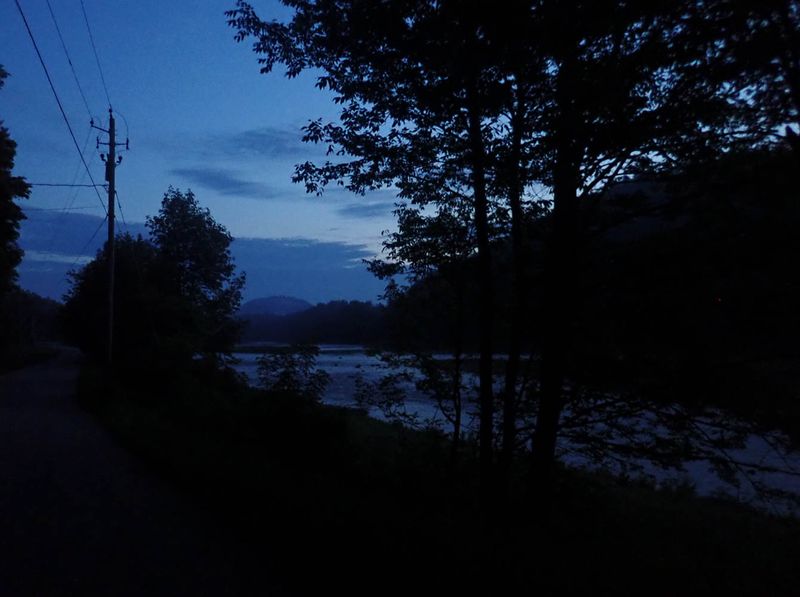 P6051769 MLR2023.jpg