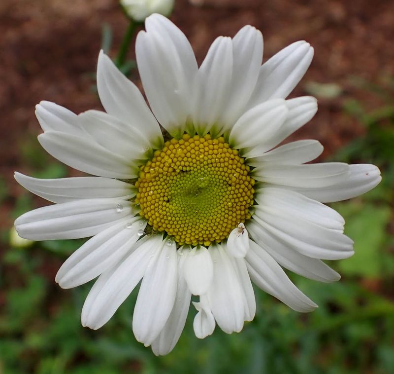 P6086422 TG6MLR2023.jpg