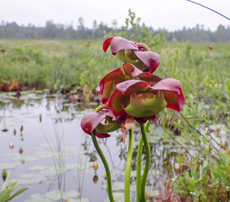 P6116628 TG6MLR2023.jpg