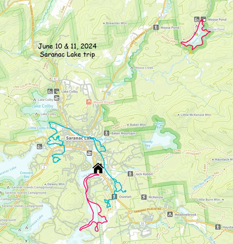 June 2024 Saranac activity m ap.jpg