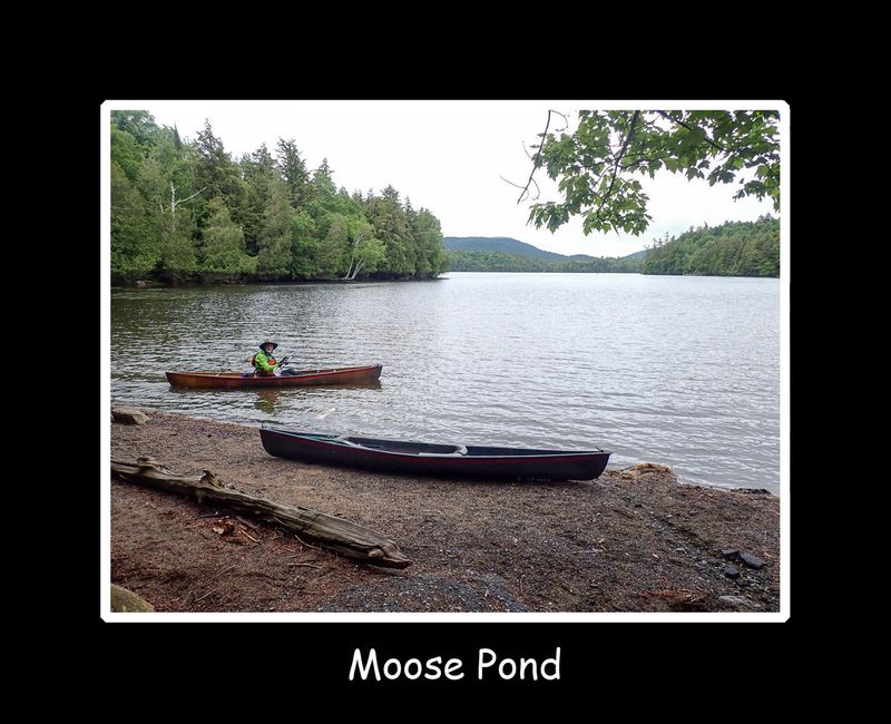 moose pond title.jpg