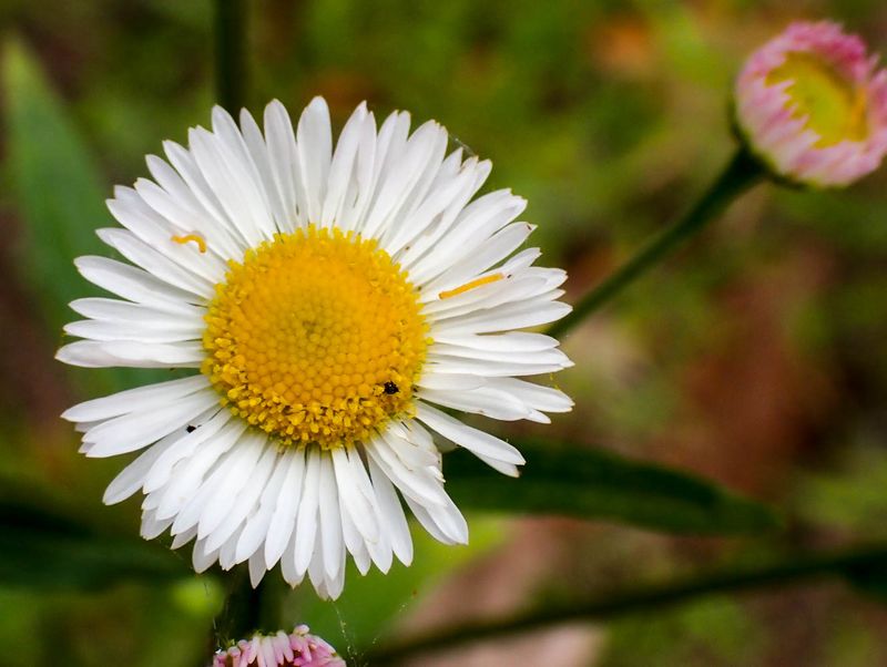 P6146729 TG6MLR2023.jpg