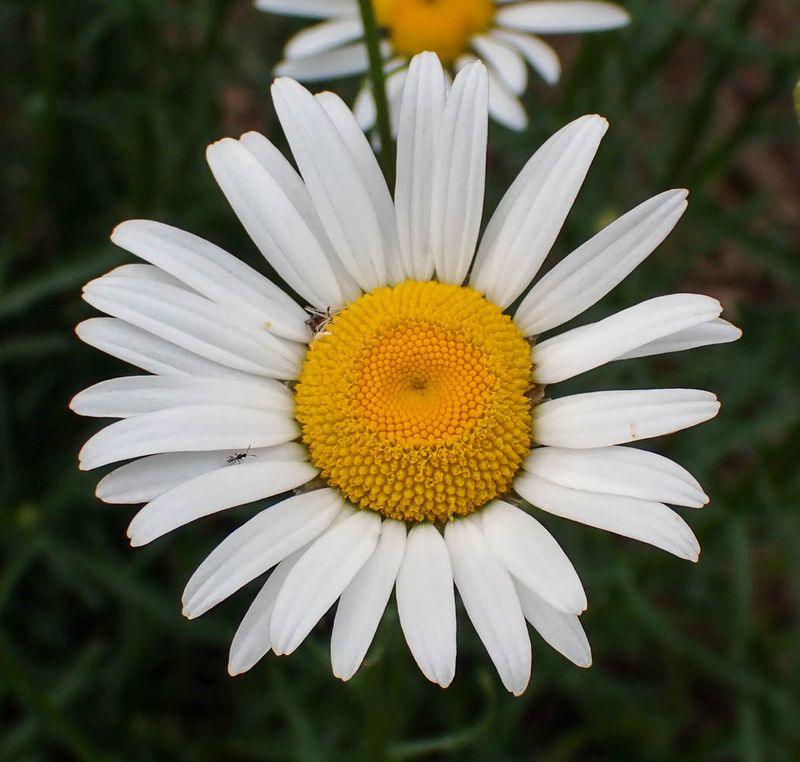P6146732 TG6MLR2023.jpg