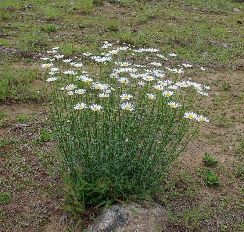 P6146733 TG6MLR2023.jpg