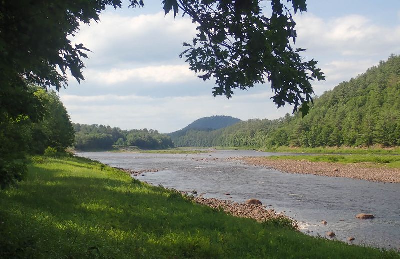 P6171930 MLR2023.jpg