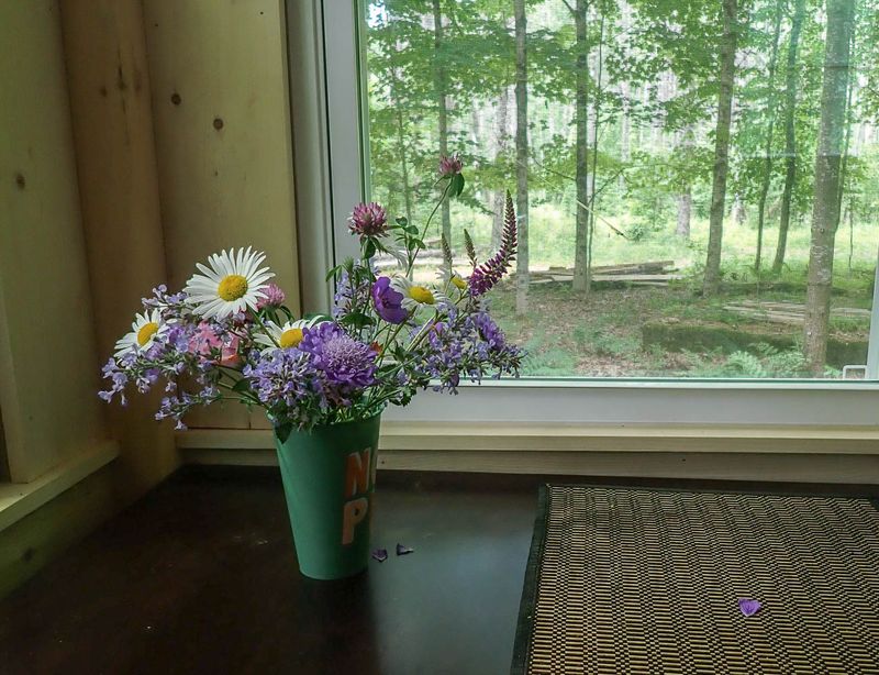 P6176748 TG6MLR2023.jpg