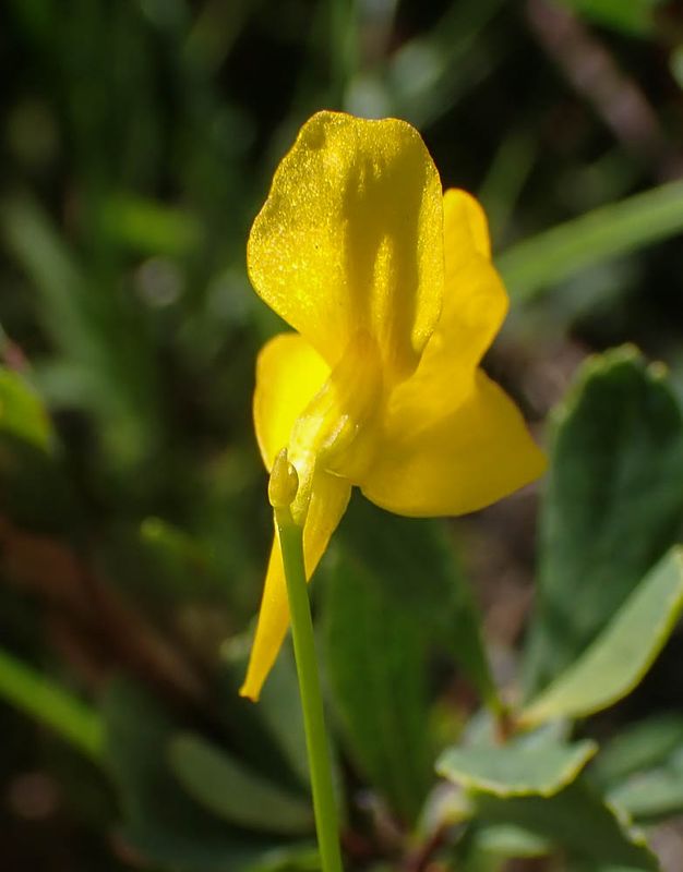 P6266865 TG6MLR2023.jpg