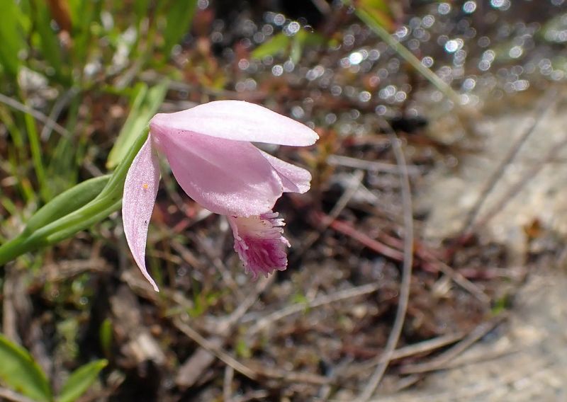 P6266877 TG6MLR2023.jpg