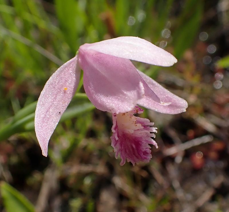 P6266881 TG6MLR2023.jpg