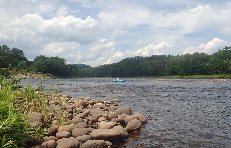 P7042166 MLR2023.jpg