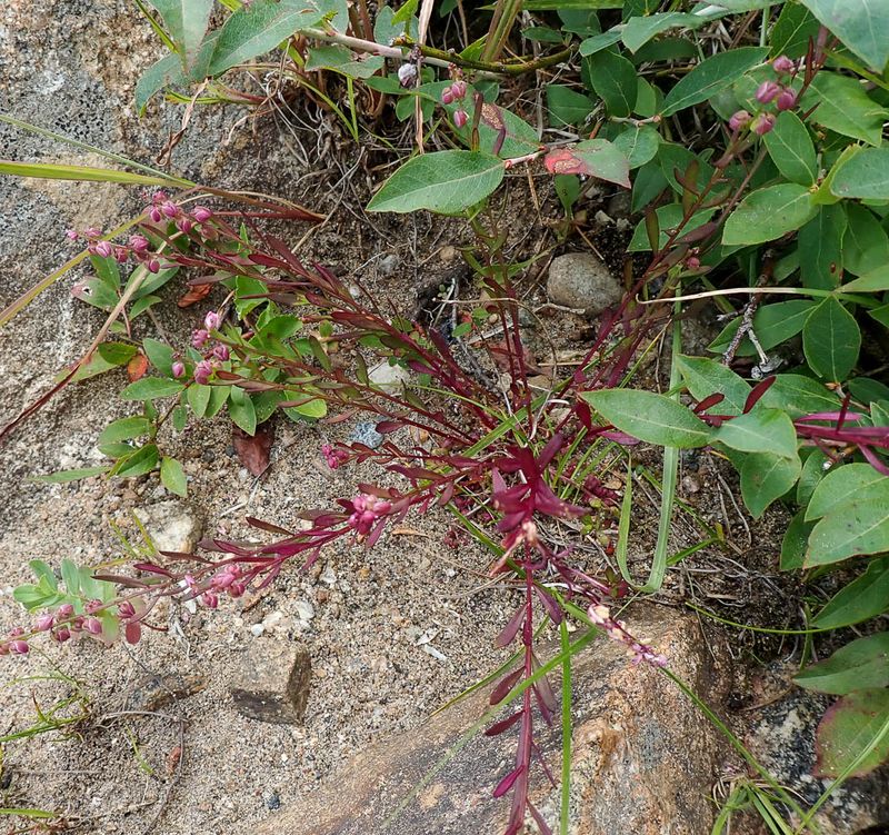 P7047025 TG6MLR2023.jpg