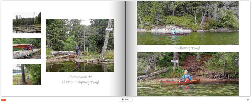 page 36.jpg