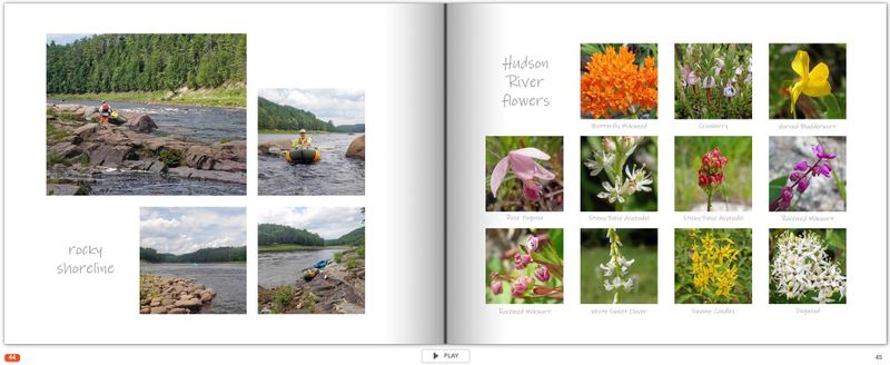 page 44.jpg