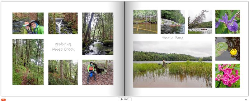 page 64.jpg