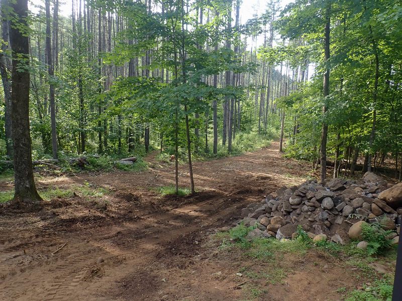 P7082200 MLR2023.jpg