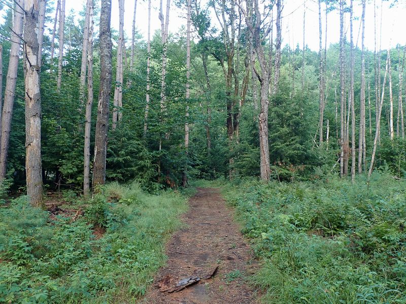 P7117053 TG6MLR2023.jpg
