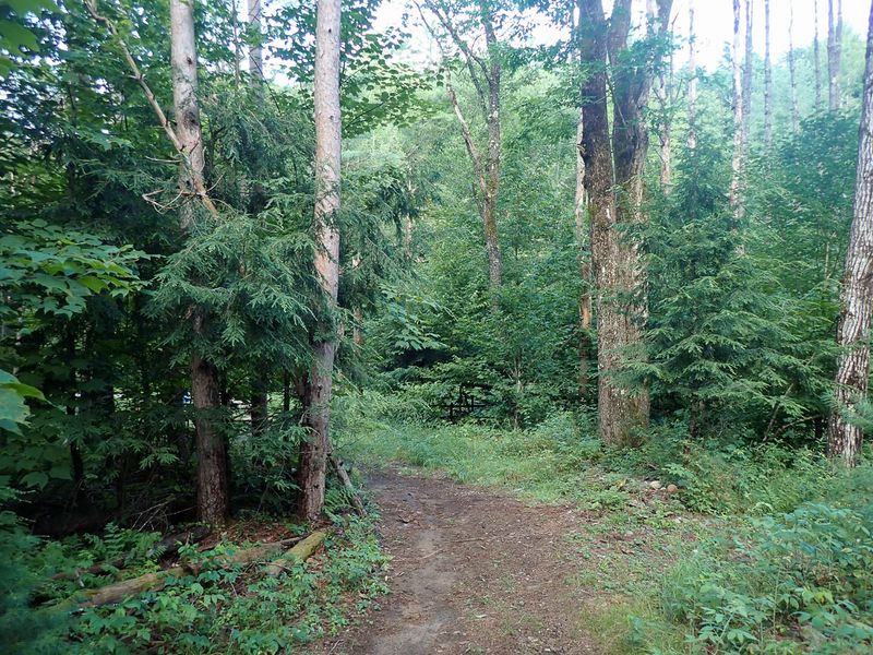 P7117054 TG6MLR2023.jpg