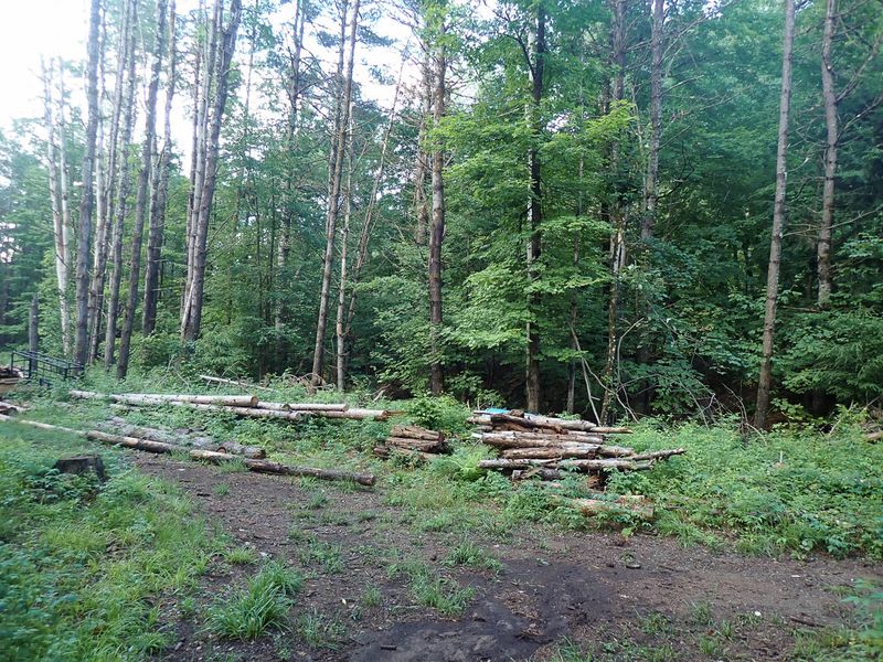 P7117055 TG6MLR2023.jpg