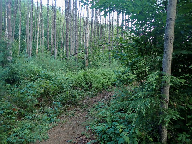 P7117062 TG6MLR2023.jpg