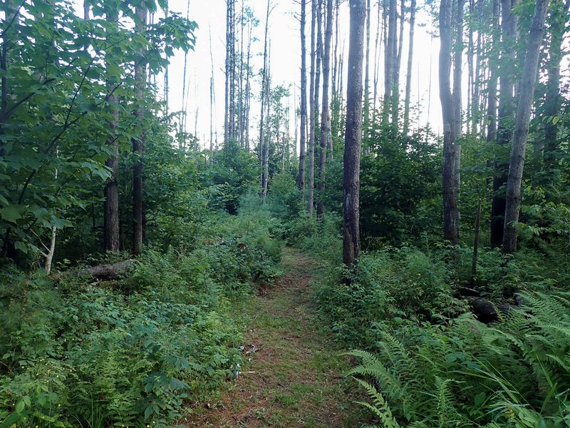P7117065 TG6MLR2023.jpg