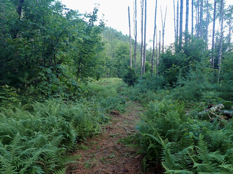 P7117066 TG6MLR2023.jpg