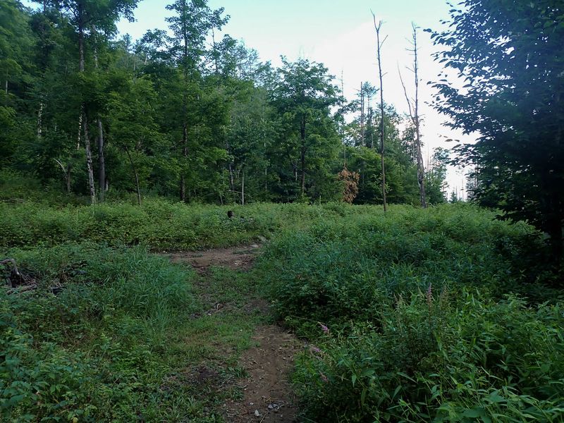 P7117068 TG6MLR2023.jpg