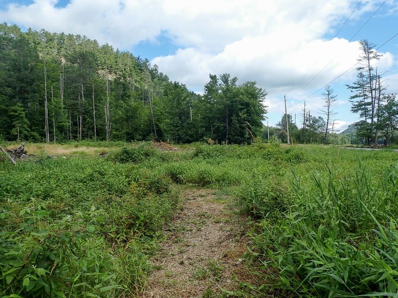 P7117111 TG6MLR2023.jpg