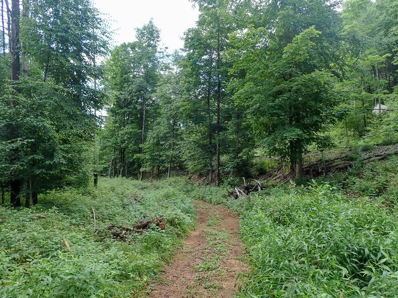 P7117126 TG6MLR2023.jpg