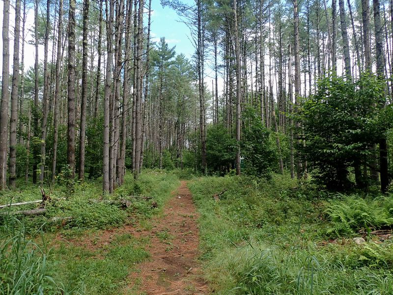 P7117158 TG6MLR2023.jpg