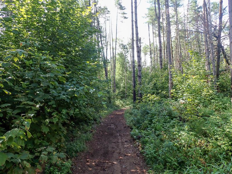 P7117083 TG6MLR2023.jpg