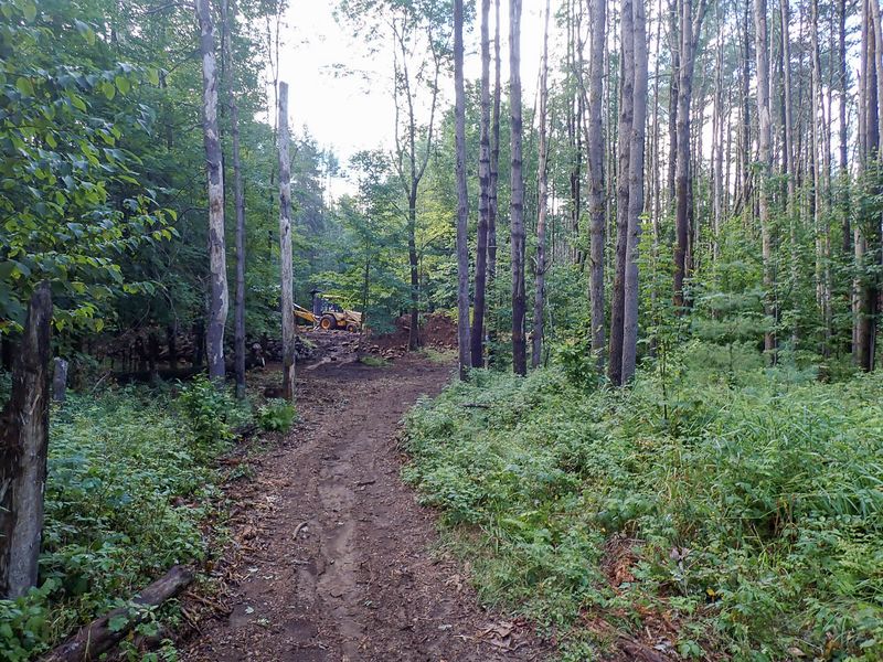 P7117087 TG6MLR2023.jpg