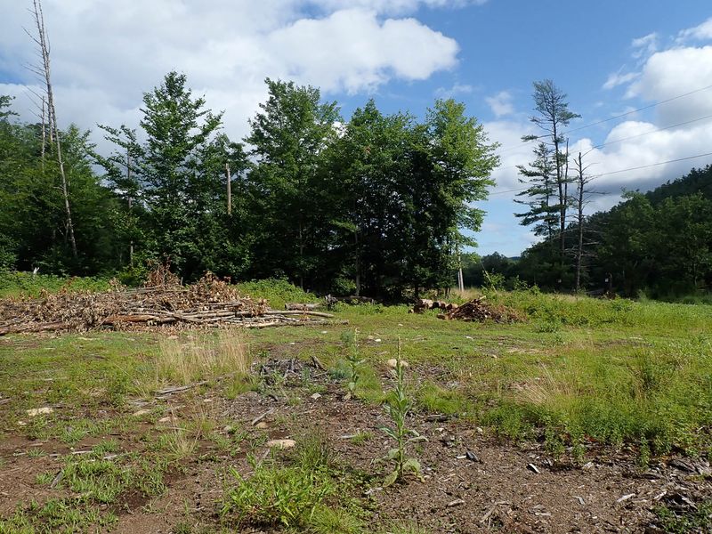 Trails - July 2024