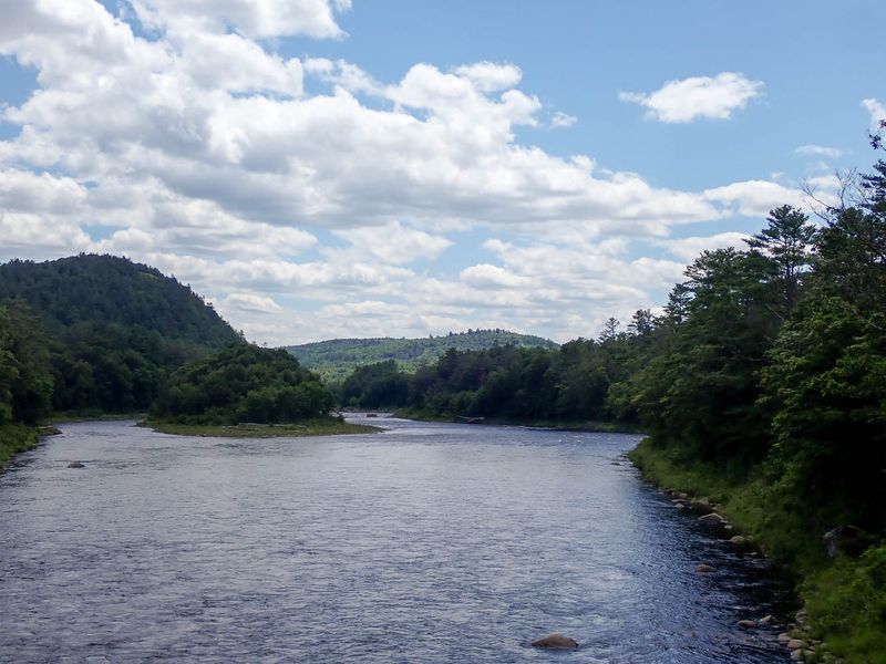 P7187236 TG6MLR2023.jpg