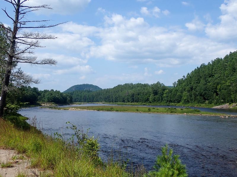 P7267299 TG6MLR2023.jpg