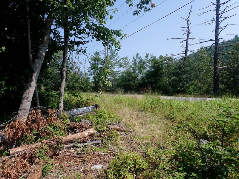 P7287381 TG6MLR2023.jpg