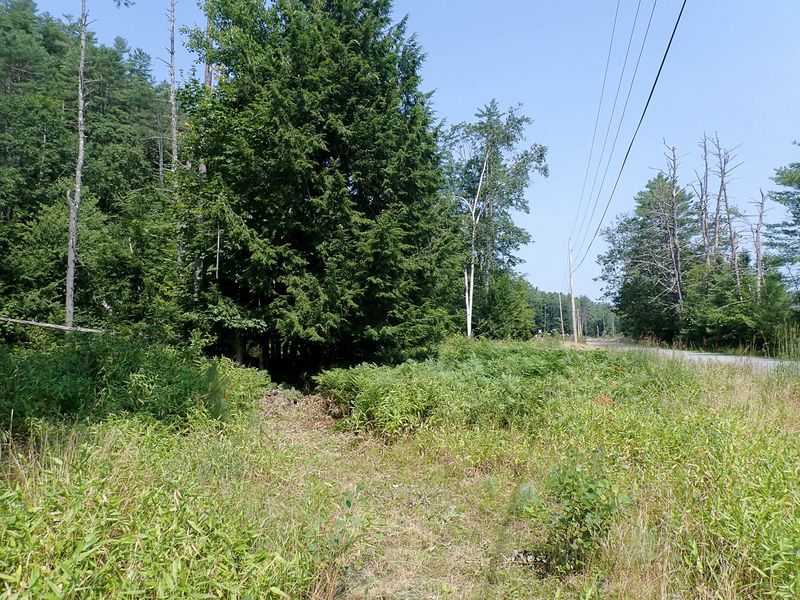 P7287382 TG6MLR2023.jpg