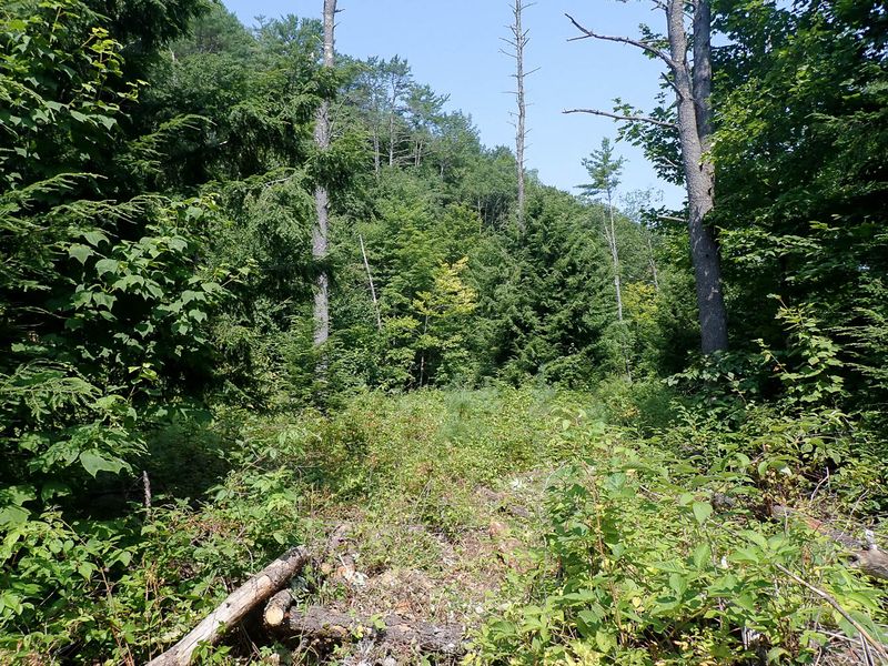 P7287384 TG6MLR2023.jpg