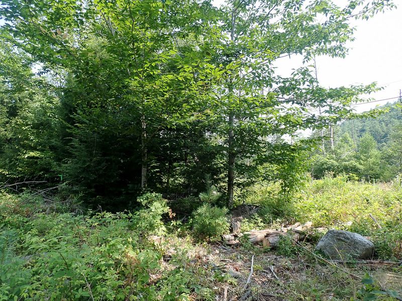 P7287385 TG6MLR2023.jpg