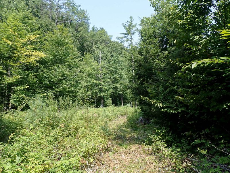P7287386 TG6MLR2023.jpg