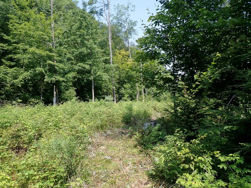 P7287387 TG6MLR2023.jpg