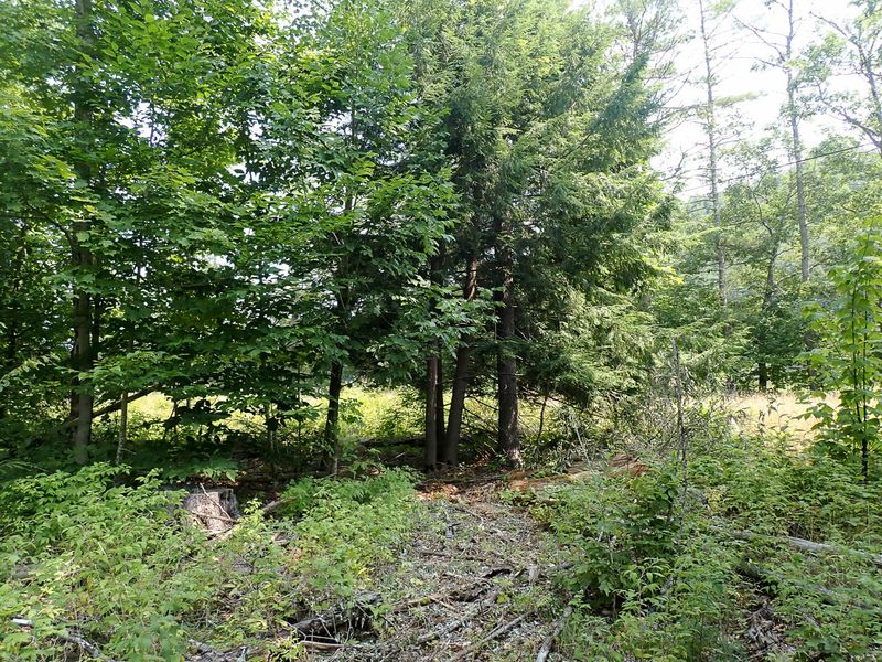 P7287389 TG6MLR2023.jpg