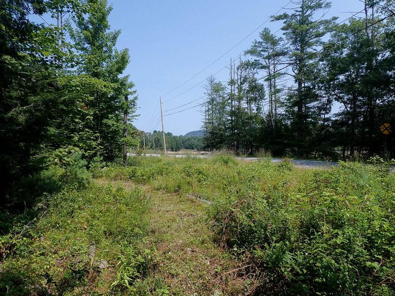 P7287390 TG6MLR2023.jpg