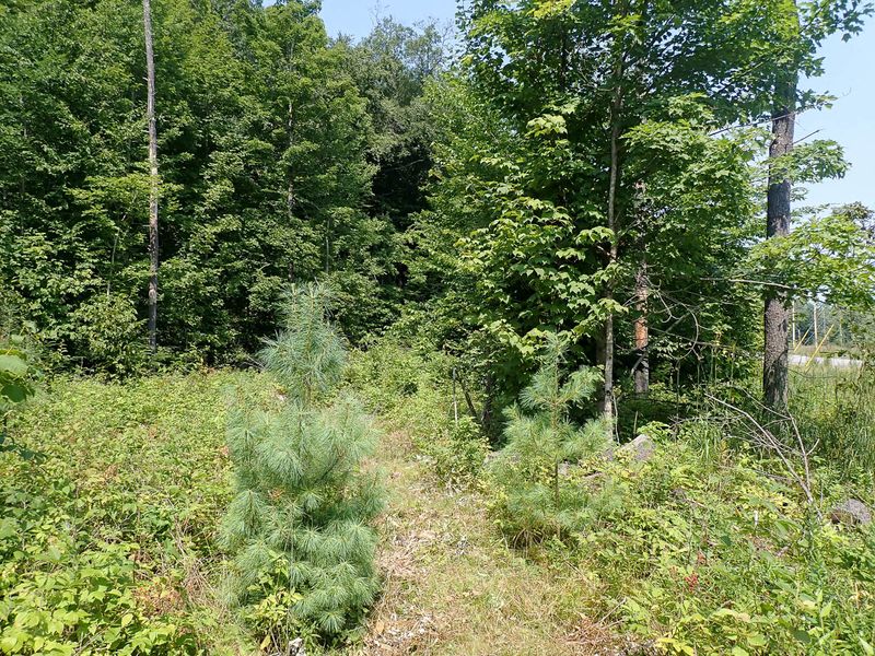 P7287391 TG6MLR2023.jpg