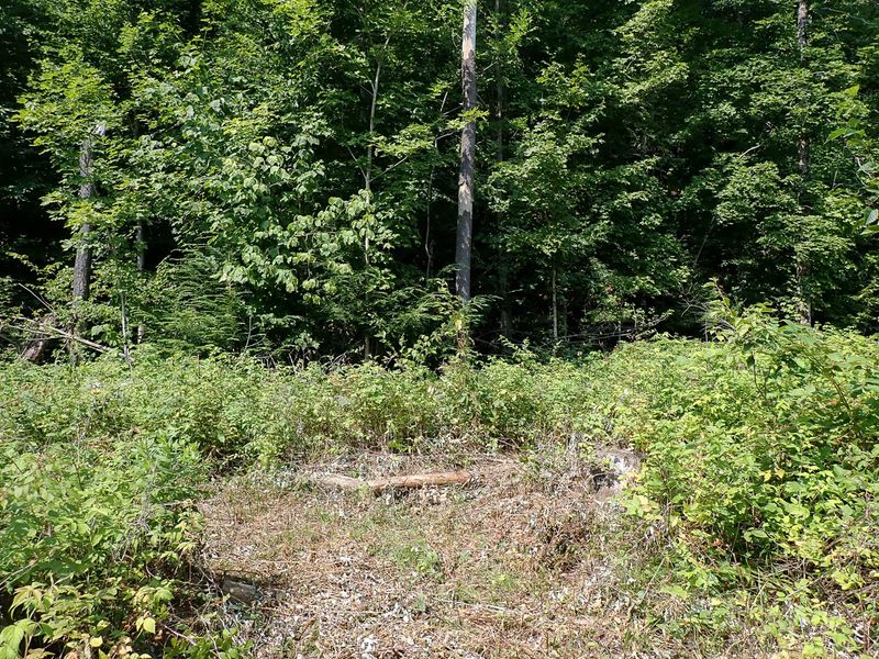 P7287392 TG6MLR2023.jpg
