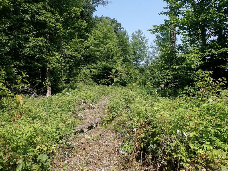 P7287403 TG6MLR2023.jpg