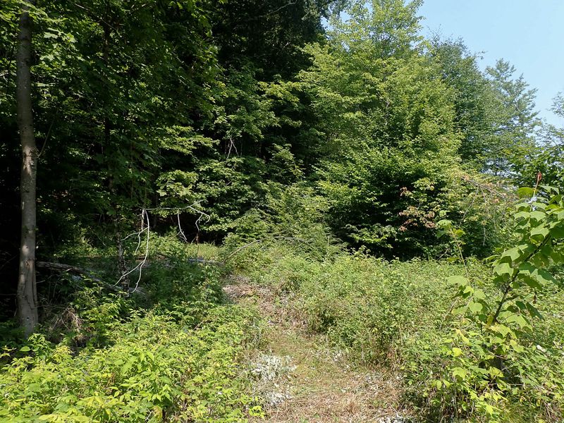 P7287404 TG6MLR2023.jpg
