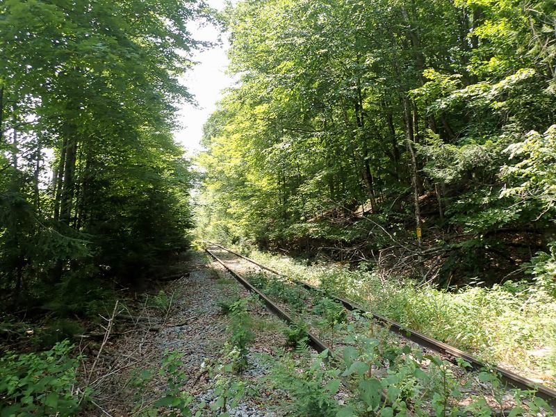 P7287405 TG6MLR2023.jpg