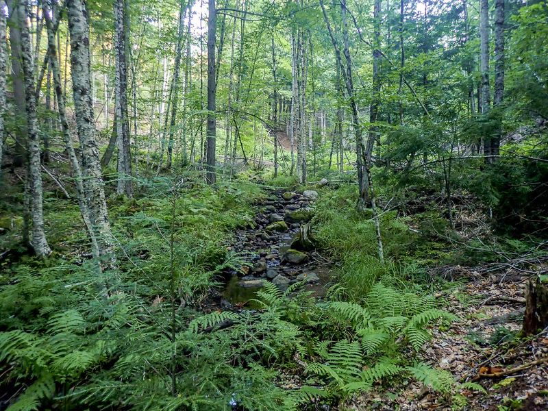 P8087625 TG6MLR2023.jpg