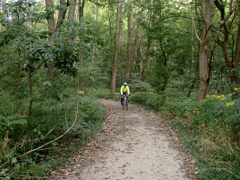 P9088072 TG6MLR2023.jpg