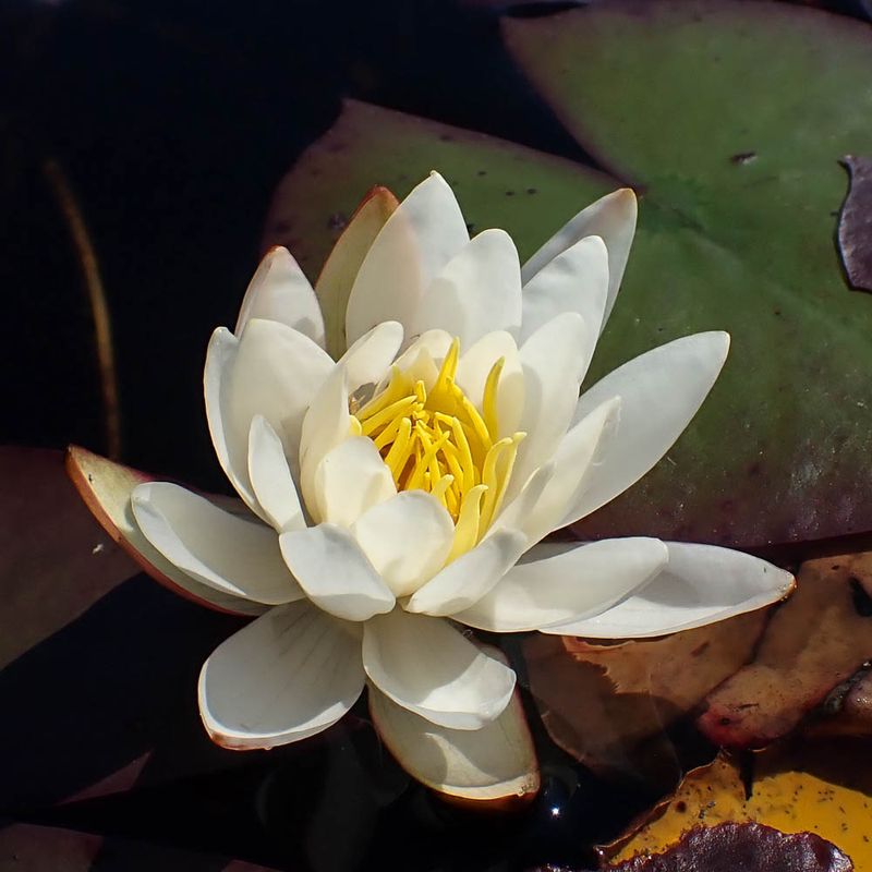 P9148243 TG6MLR2023.jpg